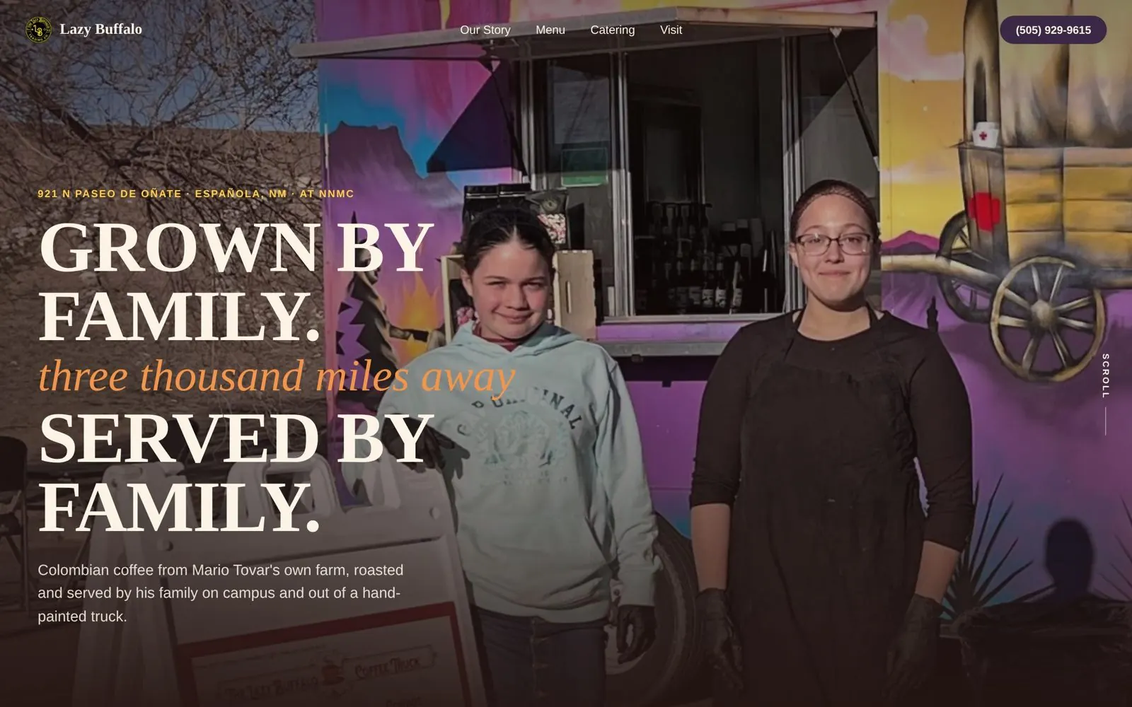 The Lazy Buffalo Trading Co. website homepage